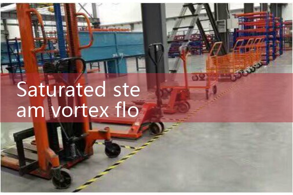 Saturated steam vortex flowmeter
